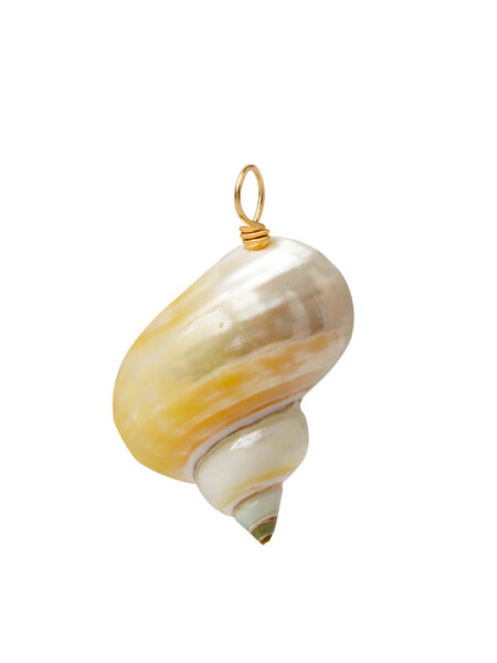 aqualia small shell charm